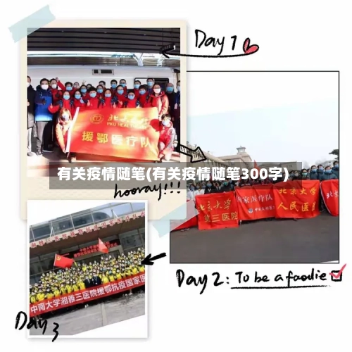 有关疫情随笔(有关疫情随笔300字)-第2张图片