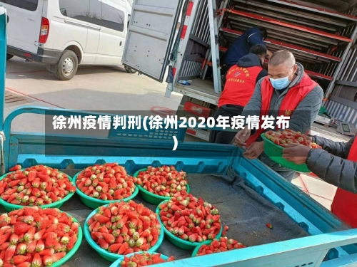 徐州疫情判刑(徐州2020年疫情发布)