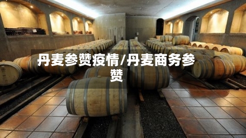 丹麦参赞疫情/丹麦商务参赞-第3张图片