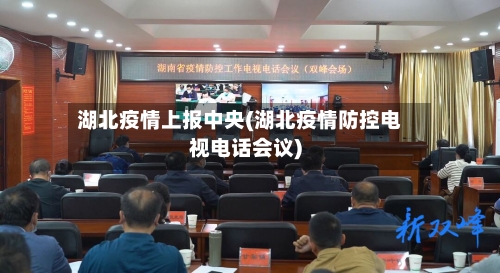 湖北疫情上报中央(湖北疫情防控电视电话会议)