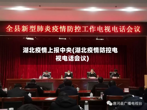 湖北疫情上报中央(湖北疫情防控电视电话会议)-第2张图片