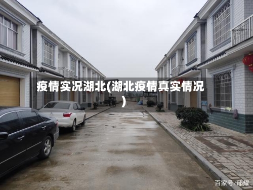 疫情实况湖北(湖北疫情真实情况)