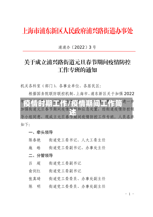 疫情时期工作/疫情期间工作简述