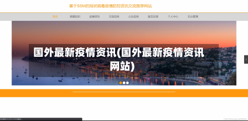 国外最新疫情资讯(国外最新疫情资讯网站)-第2张图片