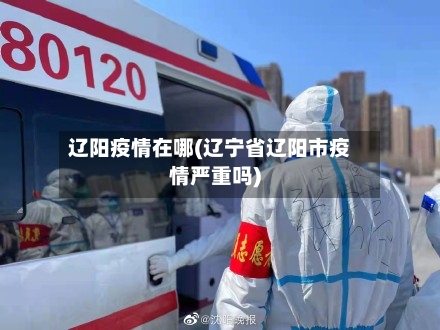 辽阳疫情在哪(辽宁省辽阳市疫情严重吗)-第3张图片