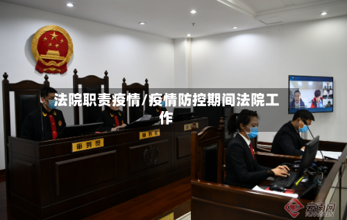 法院职责疫情/疫情防控期间法院工作-第2张图片
