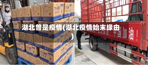 湖北曾是疫情(湖北疫情始末缘由)-第2张图片