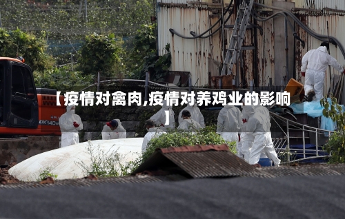 【疫情对禽肉,疫情对养鸡业的影响】-第3张图片