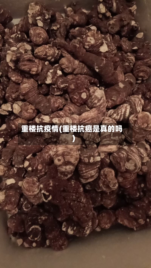 重楼抗疫情(重楼抗癌是真的吗)