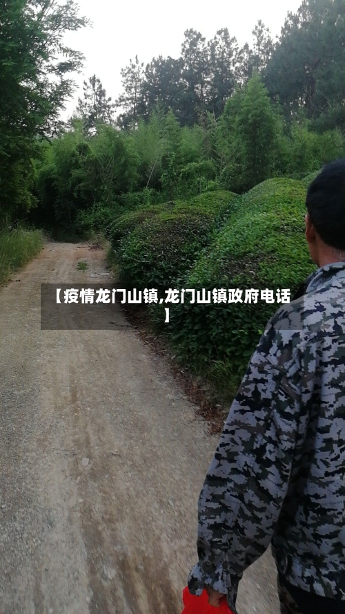 【疫情龙门山镇,龙门山镇政府电话】-第2张图片