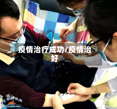 疫情治疗成功/疫情治好