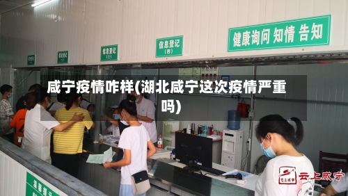 咸宁疫情咋样(湖北咸宁这次疫情严重吗)-第2张图片