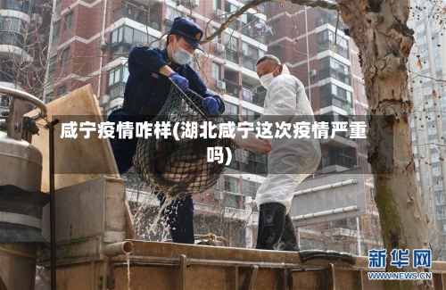 咸宁疫情咋样(湖北咸宁这次疫情严重吗)-第3张图片