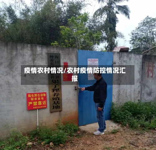 疫情农村情况/农村疫情防控情况汇报