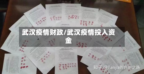 武汉疫情财政/武汉疫情投入资金