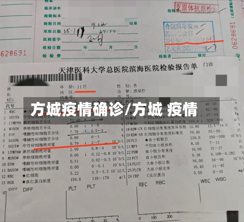 方城疫情确诊/方城 疫情-第3张图片