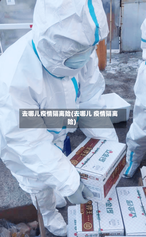 去哪儿疫情隔离险(去哪儿 疫情隔离险)-第3张图片