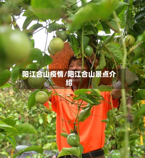 阳江合山疫情/阳江合山景点介绍