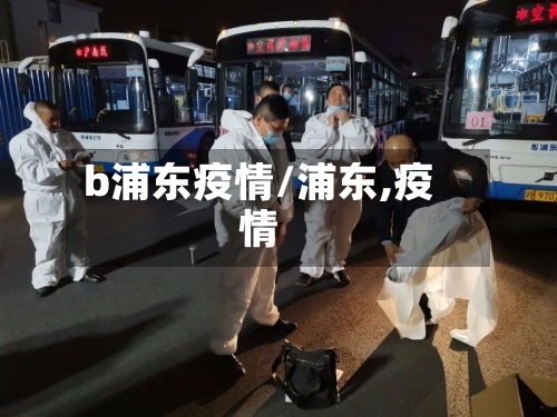 b浦东疫情/浦东,疫情