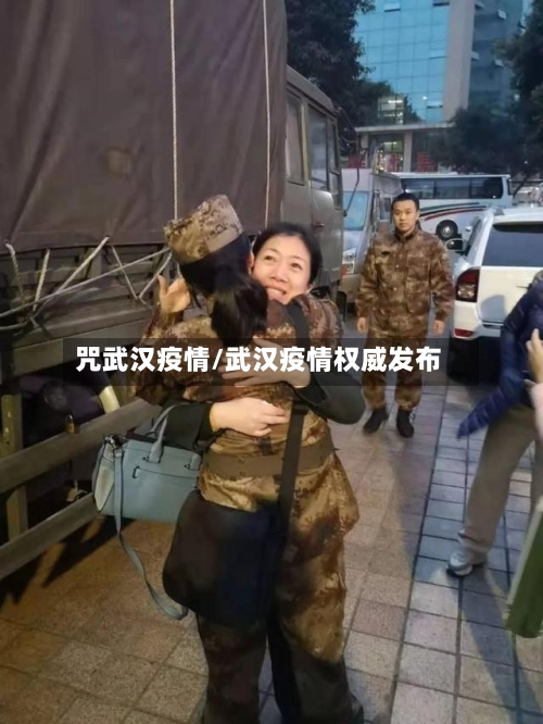 咒武汉疫情/武汉疫情权威发布