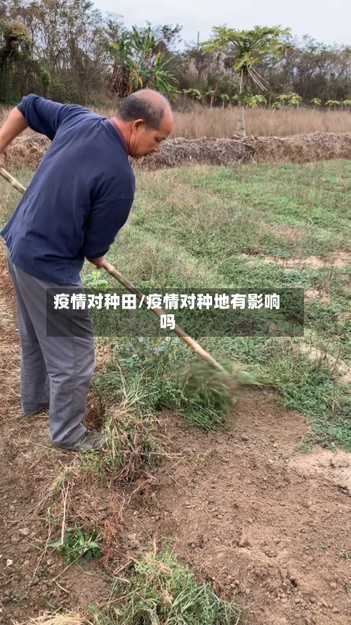 疫情对种田/疫情对种地有影响吗-第2张图片