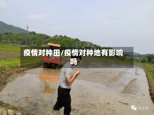 疫情对种田/疫情对种地有影响吗