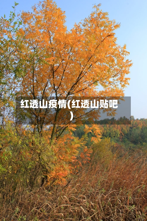 红透山疫情(红透山贴吧)