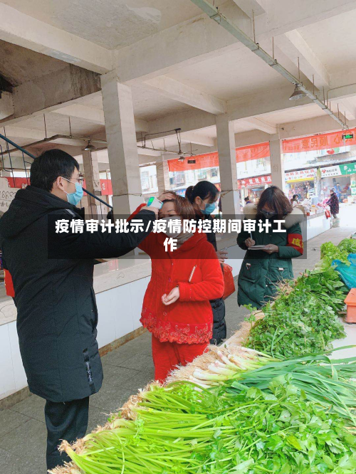 疫情审计批示/疫情防控期间审计工作-第2张图片