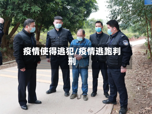 疫情使得逃犯/疫情逃跑判刑-第2张图片