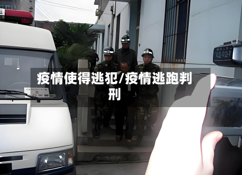 疫情使得逃犯/疫情逃跑判刑