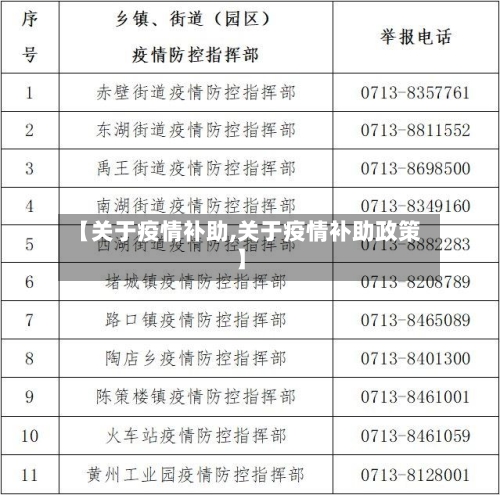 【关于疫情补助,关于疫情补助政策】-第2张图片