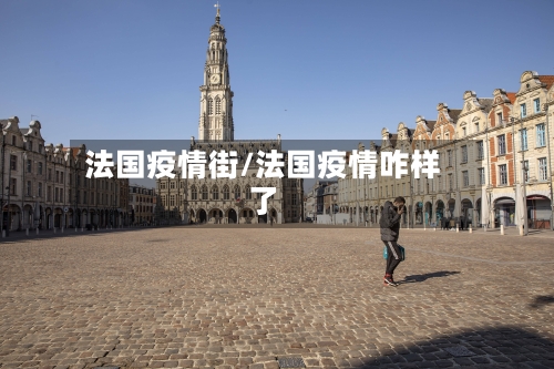 法国疫情街/法国疫情咋样了