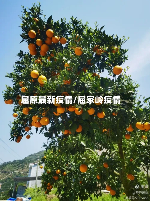 屈原最新疫情/屈家岭疫情-第2张图片