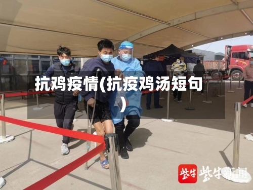 抗鸡疫情(抗疫鸡汤短句)