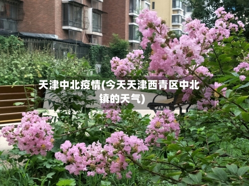 天津中北疫情(今天天津西青区中北镇的天气)