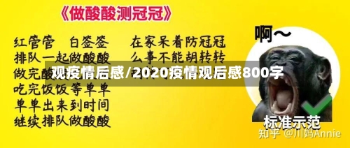 观疫情后感/2020疫情观后感800字