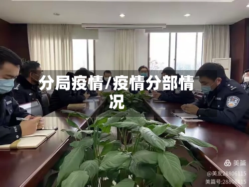 分局疫情/疫情分部情况