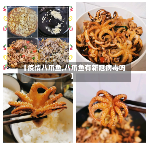 【疫情八爪鱼,八爪鱼有新冠病毒吗】