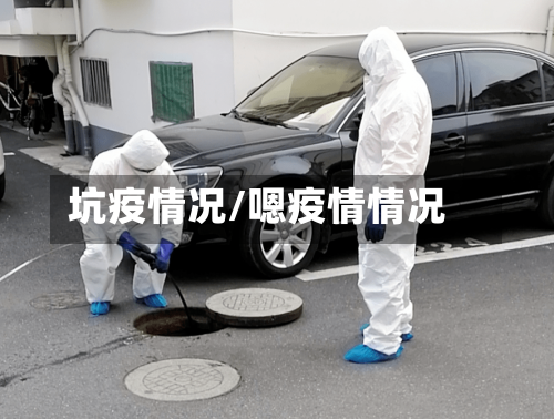 坑疫情况/嗯疫情情况