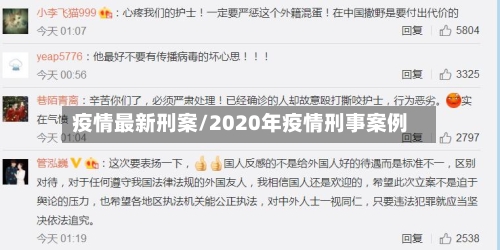 疫情最新刑案/2020年疫情刑事案例